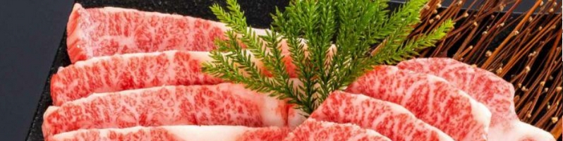 �F�싍�̏ē��E���b�P�E�o�[�׃L���E�E�X�e�[�L�Ȃǂ��ƒ�ŏ��T�C�g